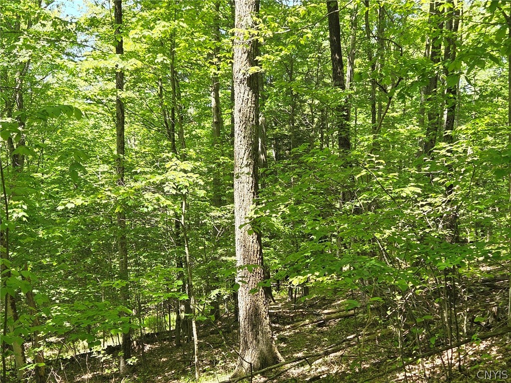 Lillibridge Road Olean, NY 14760 - Photo 24 of 48