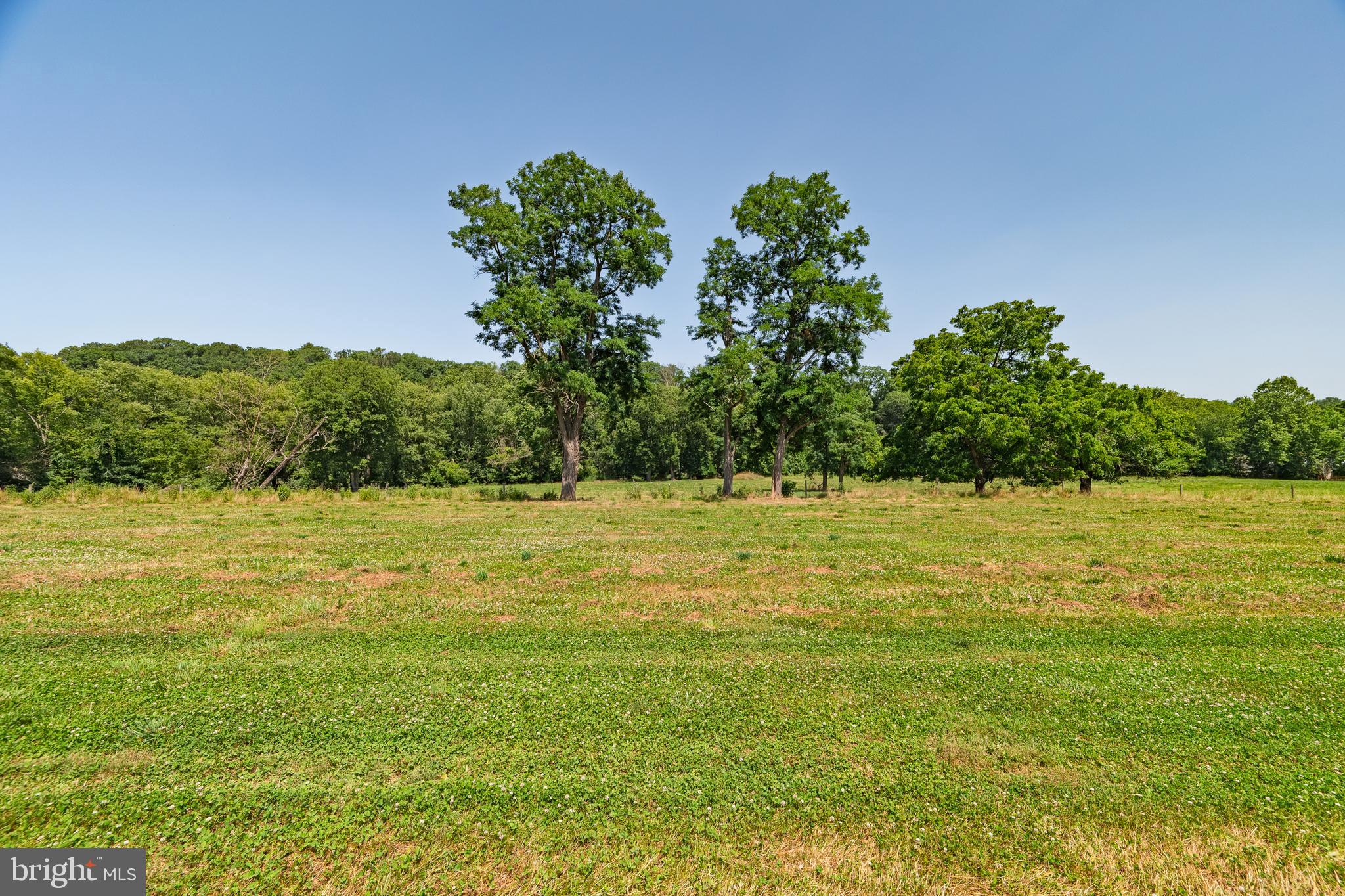 3150 Bidle Road Middletown, MD 21769 - Photo 85 of 93 Gallery Image 85