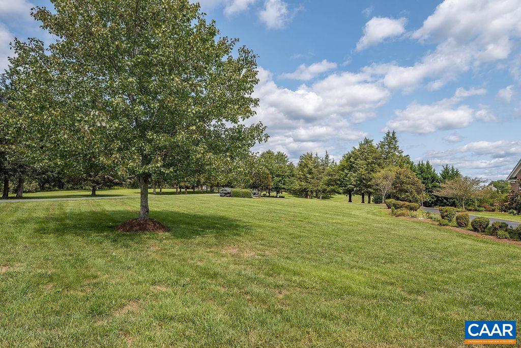 795 Frays Ridge Road Earlysville, VA 22936 - Photo 70 of 74 Gallery Image 70