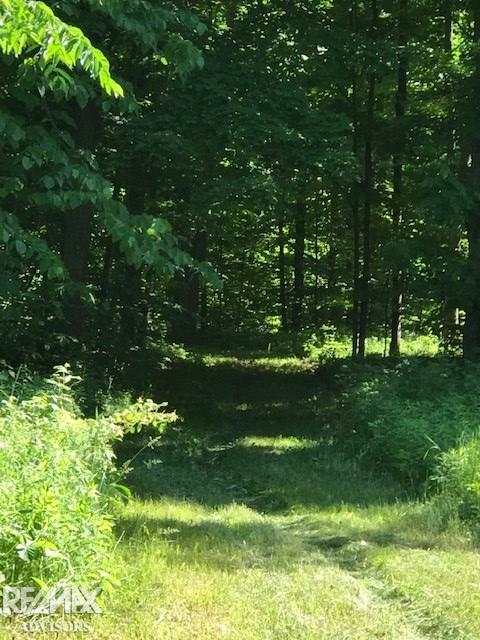 6899 Buck Run Spruce, MI 48762 - Photo 24 of 26