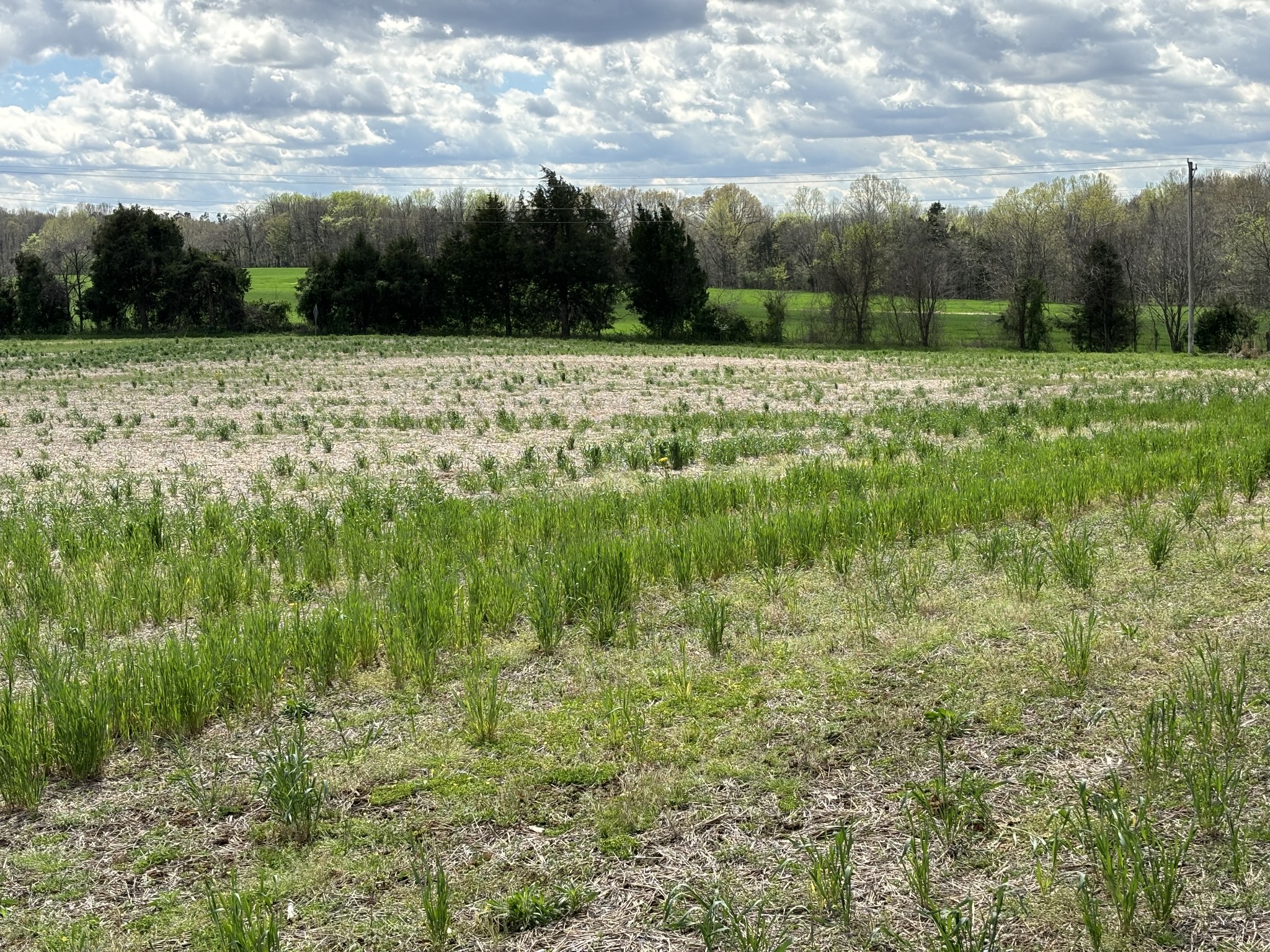 3840 Crofton-Fruit Hill Road Crofton, KY 42217 - Photo 1 of 5 a view of a green field