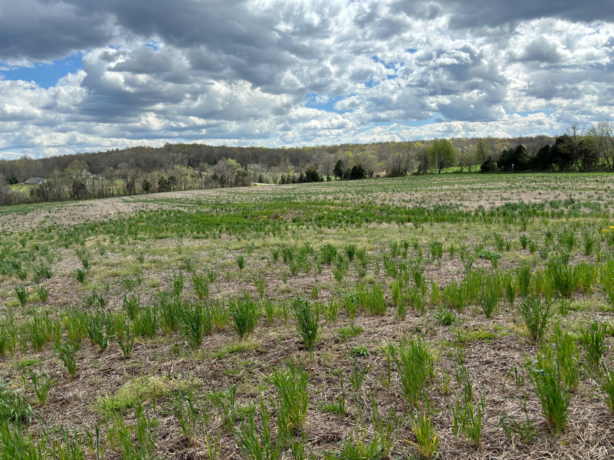 3840 Crofton-Fruit Hill Road Crofton, KY 42217 - Photo 3 of 5 a view of a field with lots of green space