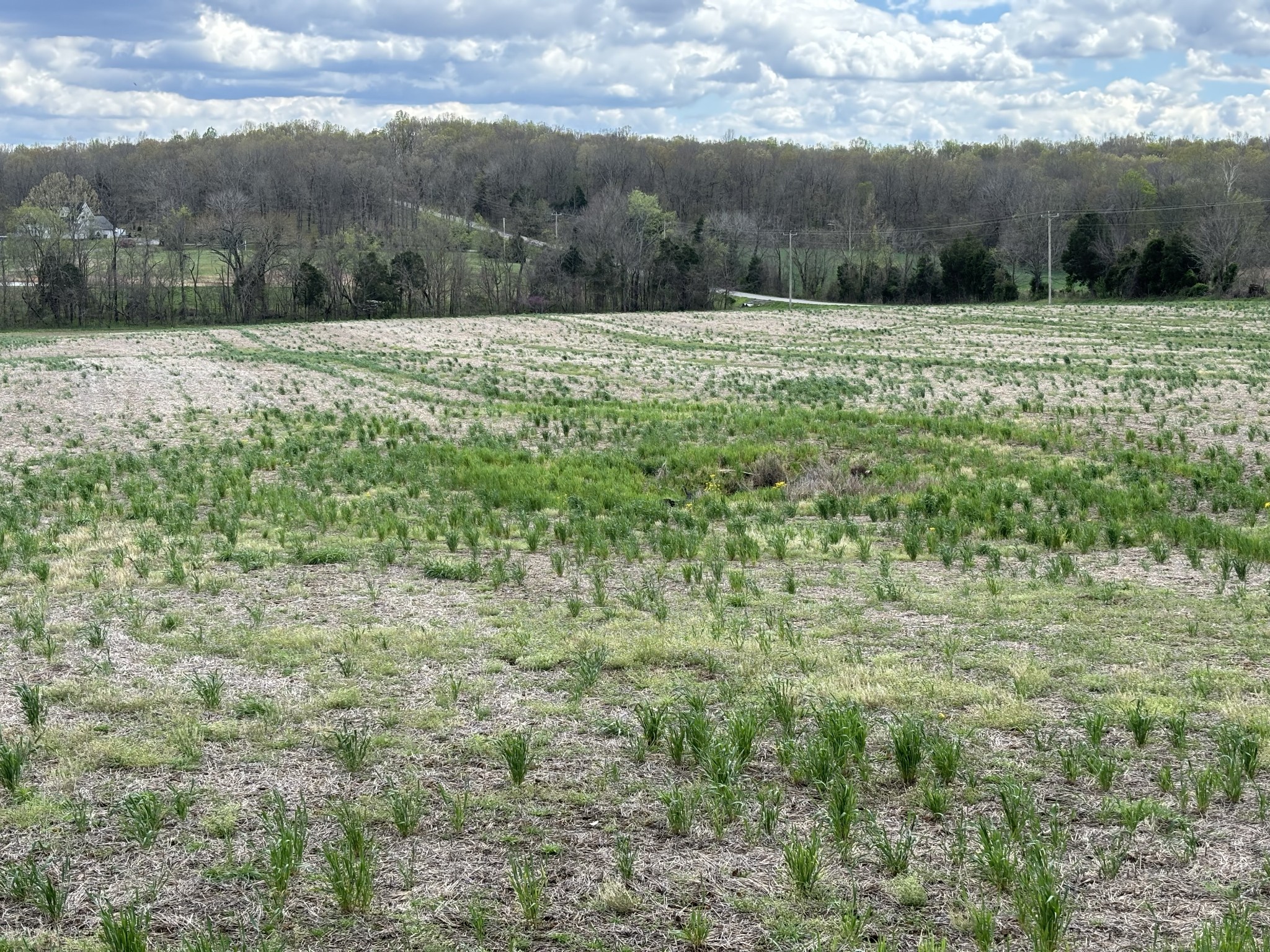 3840 Crofton-Fruit Hill Road Crofton, KY 42217 - Photo 5 of 5 a view of outdoor space and yard