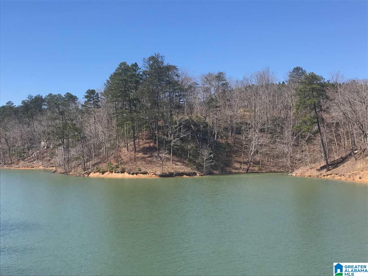 290 Camp Corinth Road Double Springs, AL 35553 - Photo 4 of 32