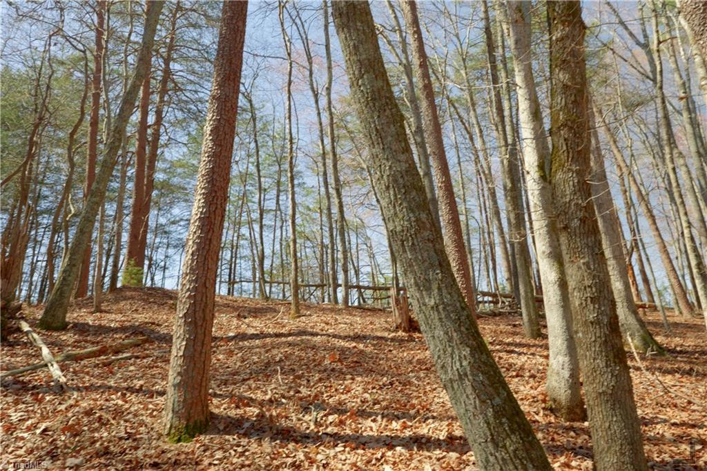 6 Old Mill Road Pinnacle, NC 27043 - Photo 15 of 29
