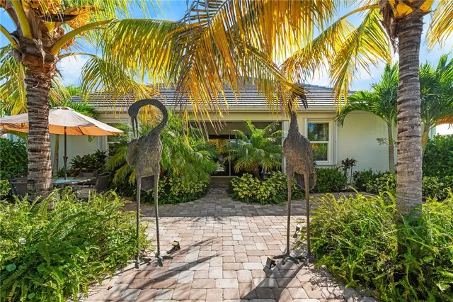 a view of a yard with plants and trees
