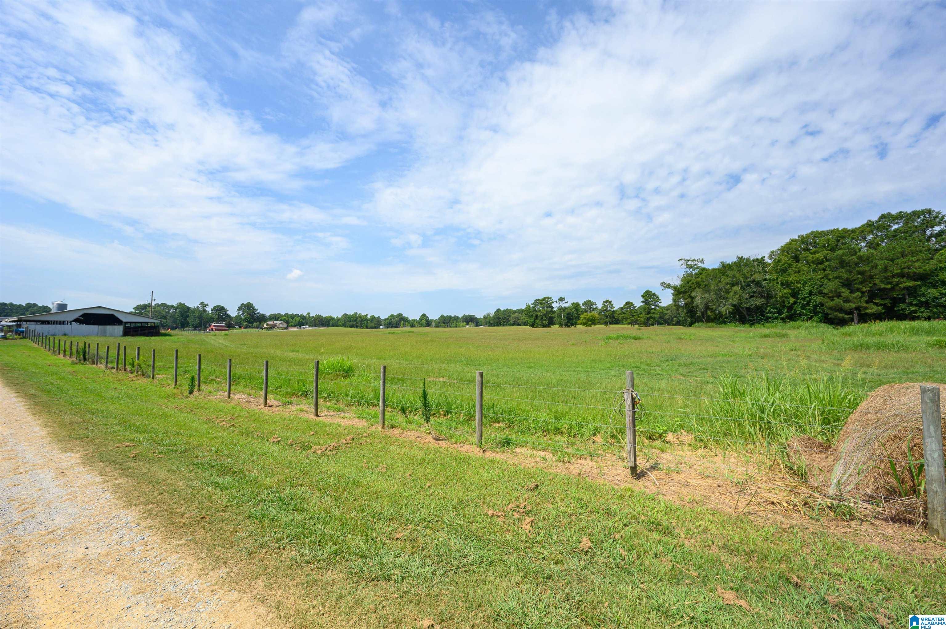 1498 Sun Valley Road Harpersville, AL 35078 - Photo 18 of 35