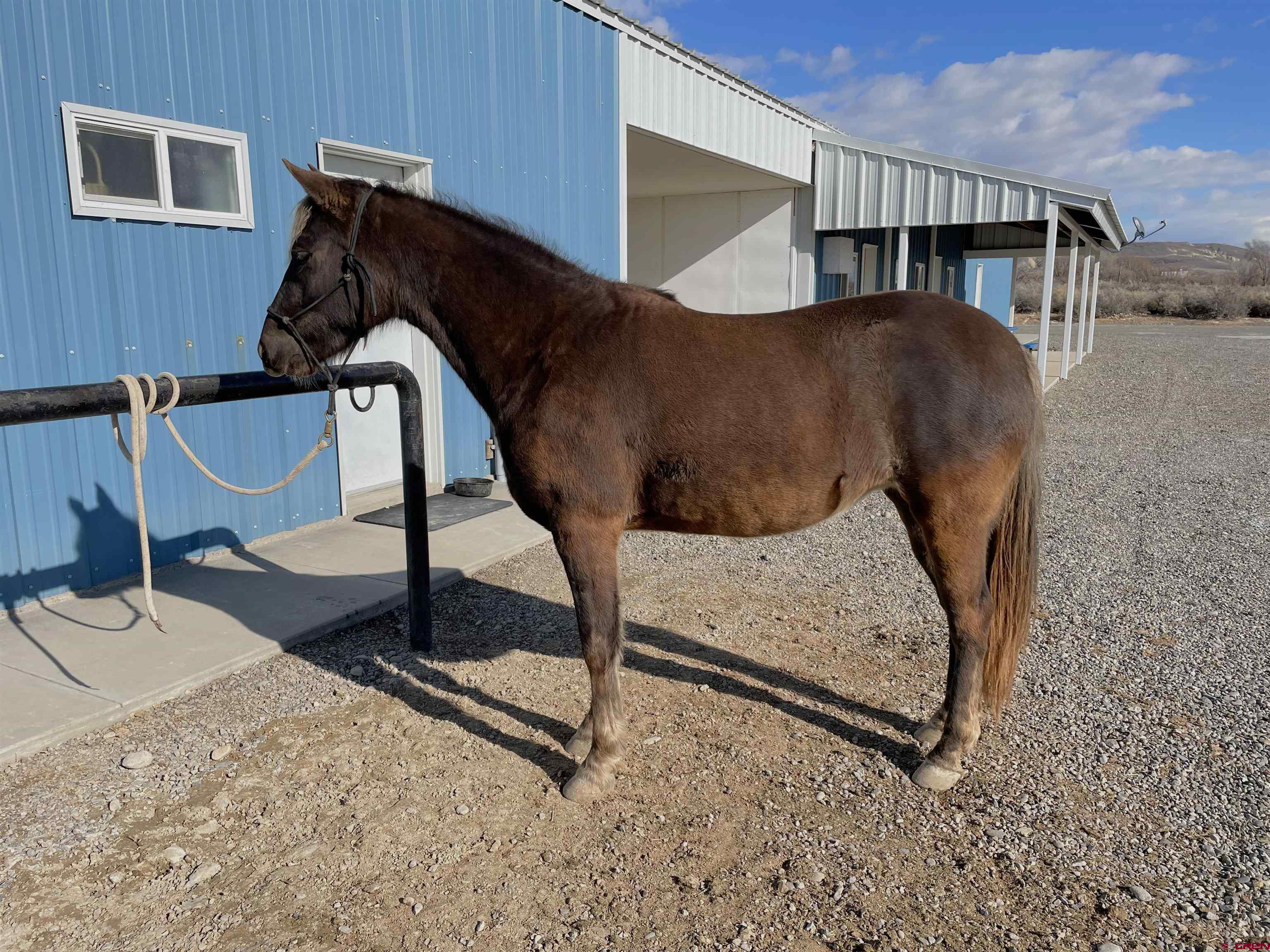 11313 Running Deer Road Eckert, CO 81418 - Photo 14 of 34