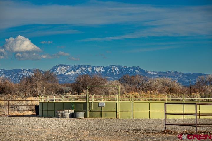 11313 Running Deer Road Eckert, CO 81418 - Photo 16 of 34