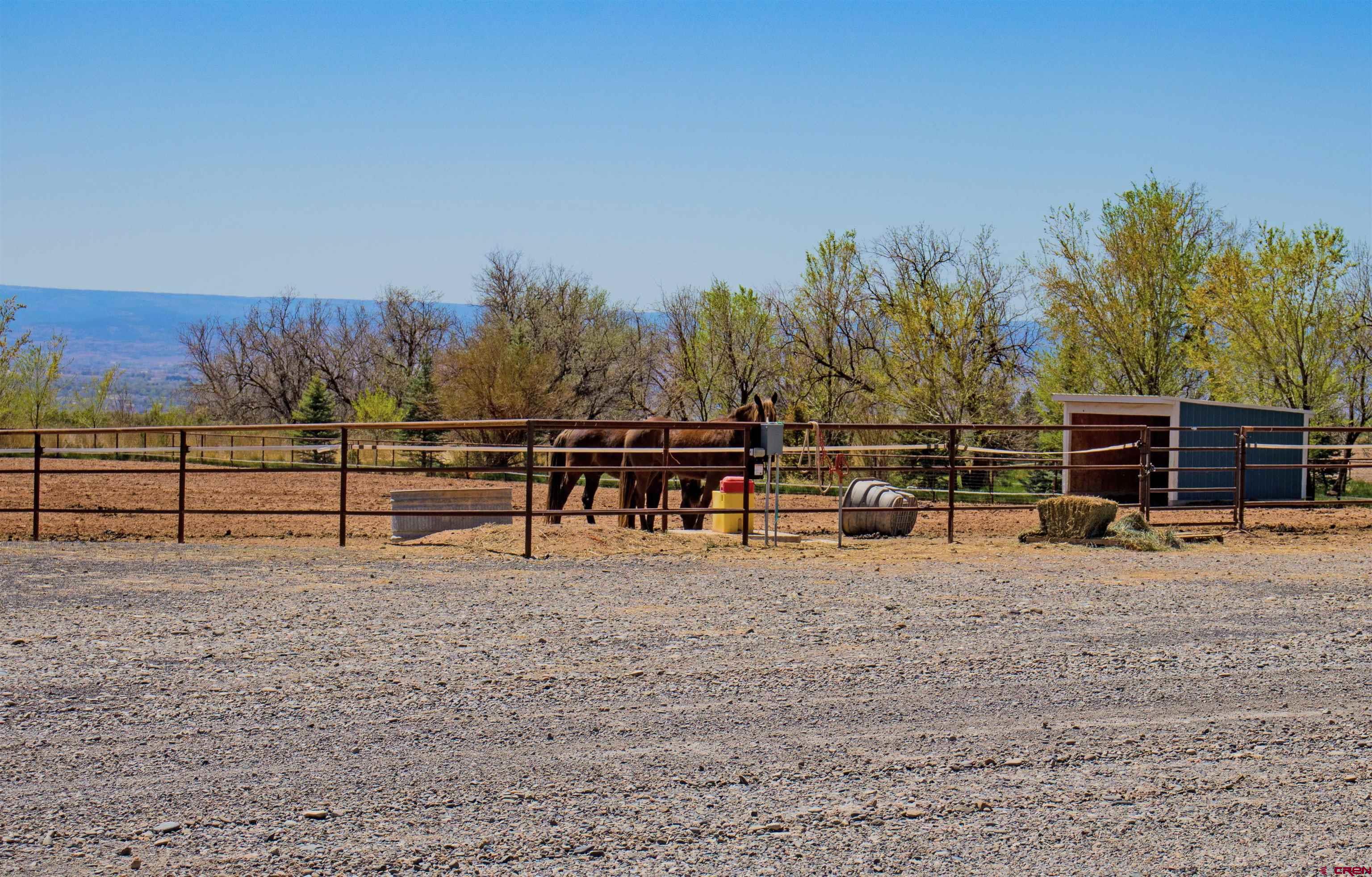 11313 Running Deer Road Eckert, CO 81418 - Photo 21 of 34