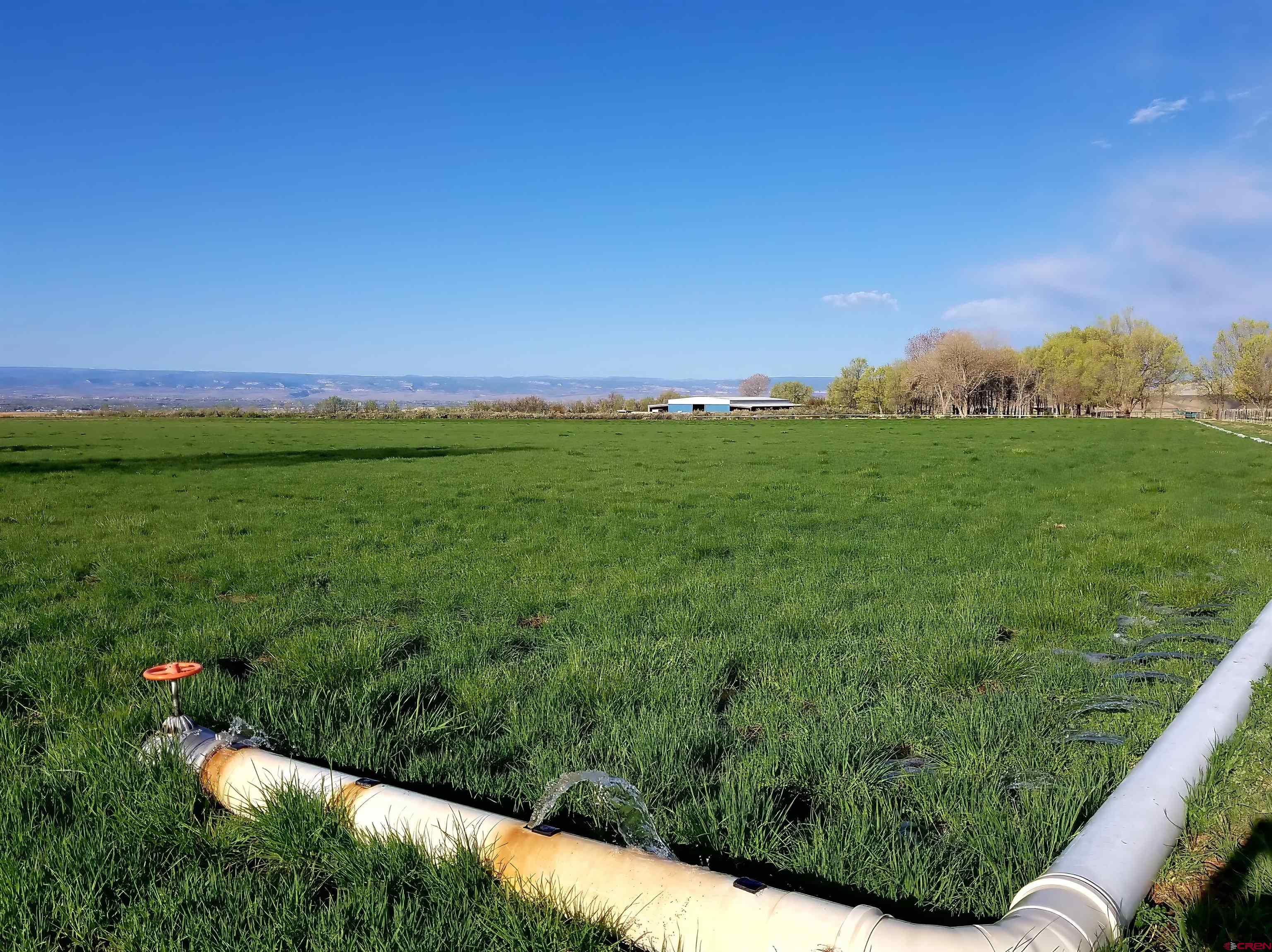 11313 Running Deer Road Eckert, CO 81418 - Photo 22 of 34