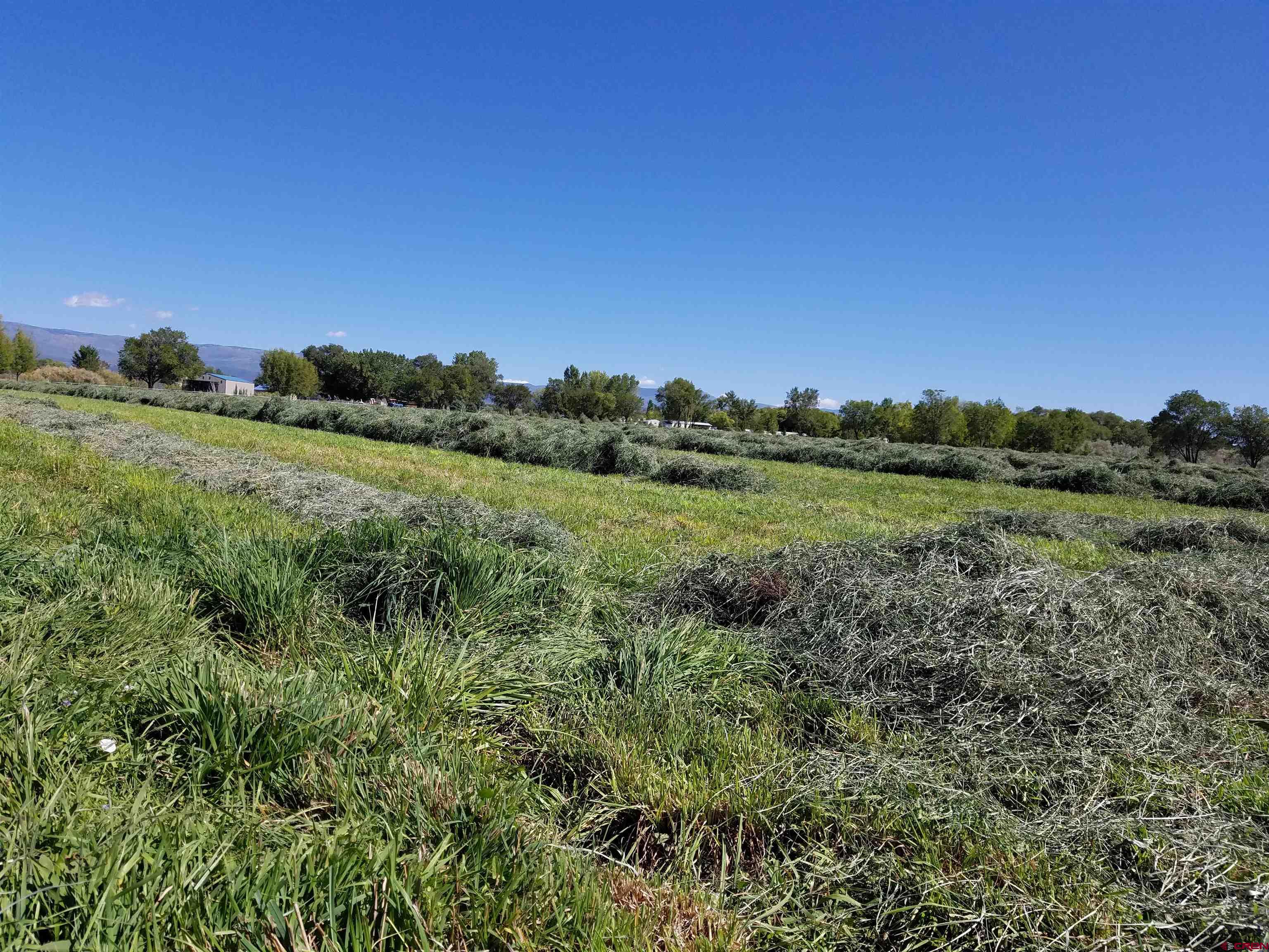 11313 Running Deer Road Eckert, CO 81418 - Photo 23 of 34
