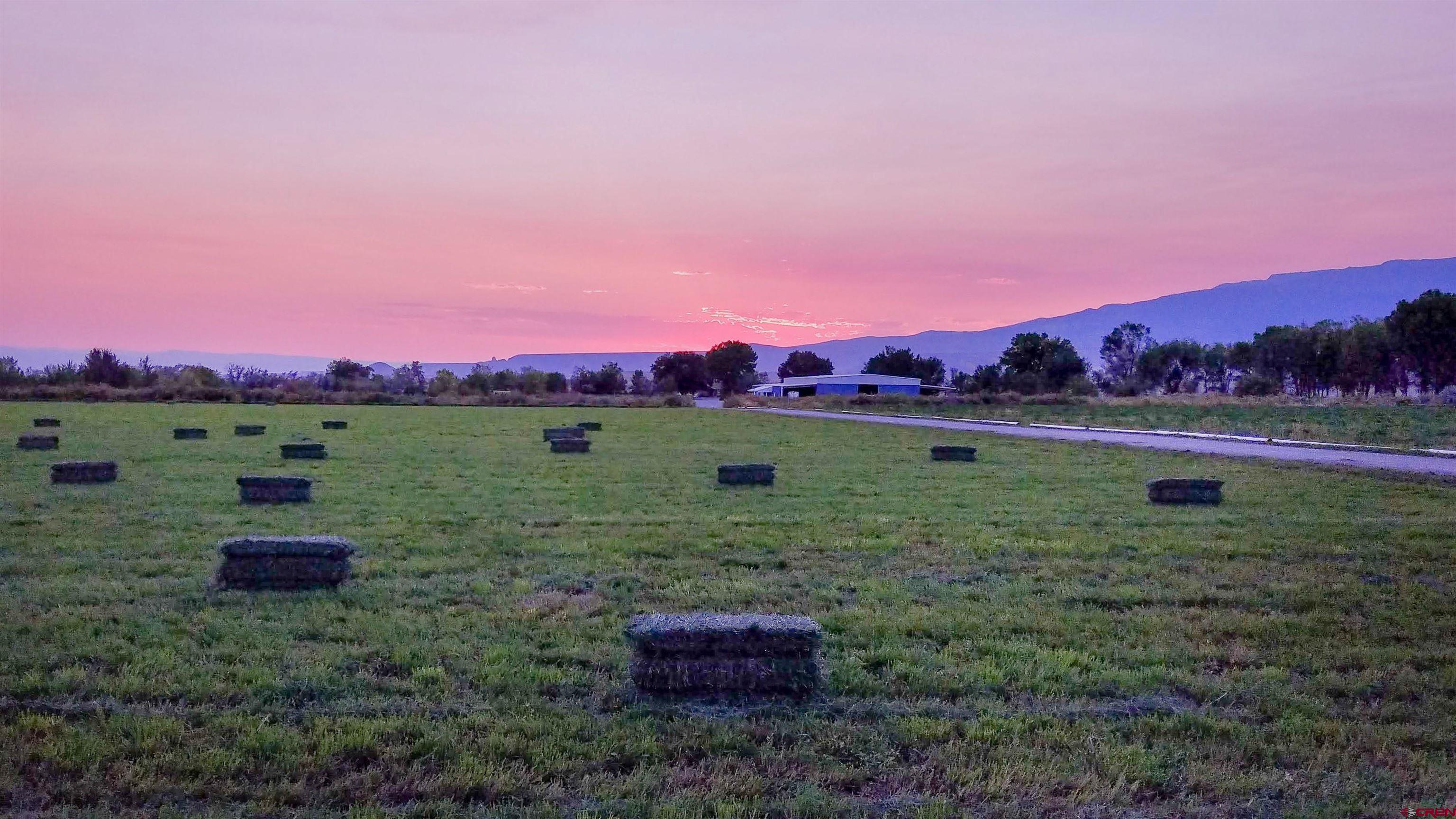11313 Running Deer Road Eckert, CO 81418 - Photo 25 of 34