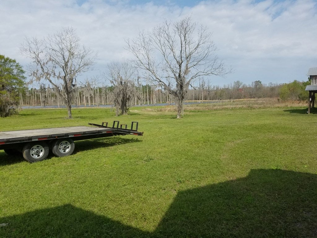 1707 Luke Road Ray City, GA 31645 - Photo 8 of 21 Gallery Image 8