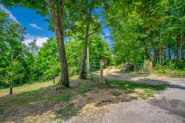914 Ford Road Baxter, TN 38544 - Photo 1 of 21 a view of a yard with a tree