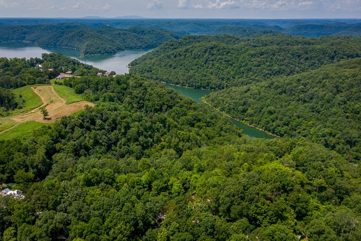914 Ford Road Baxter, TN 38544 - Photo 15 of 21 a view of a lush green forest with trees and some houses