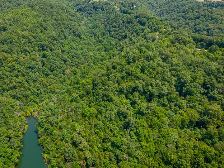 914 Ford Road Baxter, TN 38544 - Photo 17 of 21 a view of a lush green forest