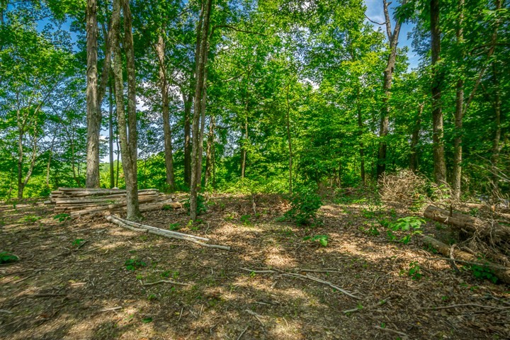 914 Ford Road Baxter, TN 38544 - Photo 18 of 21 a backyard of a house with lots of green space