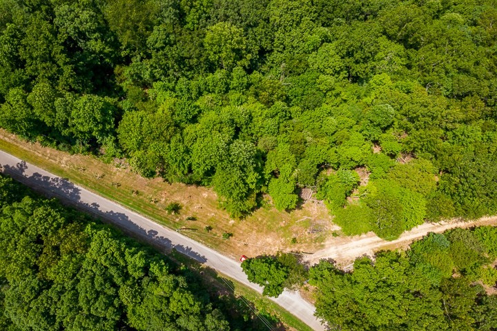 914 Ford Road Baxter, TN 38544 - Photo 2 of 21 a view of a garden with a tree