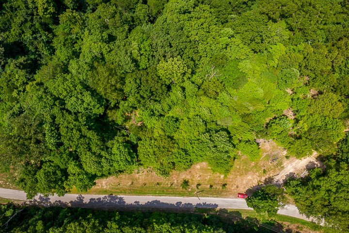 914 Ford Road Baxter, TN 38544 - Photo 3 of 21 a view of a yard