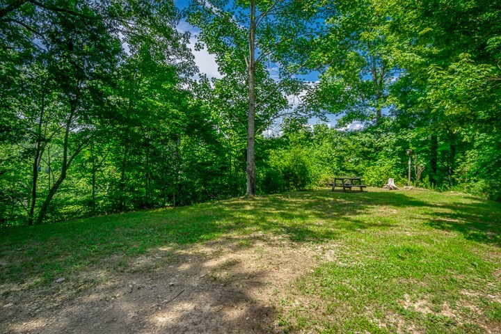 914 Ford Road Baxter, TN 38544 - Photo 10 of 21 a view of a grassy field with trees in the background