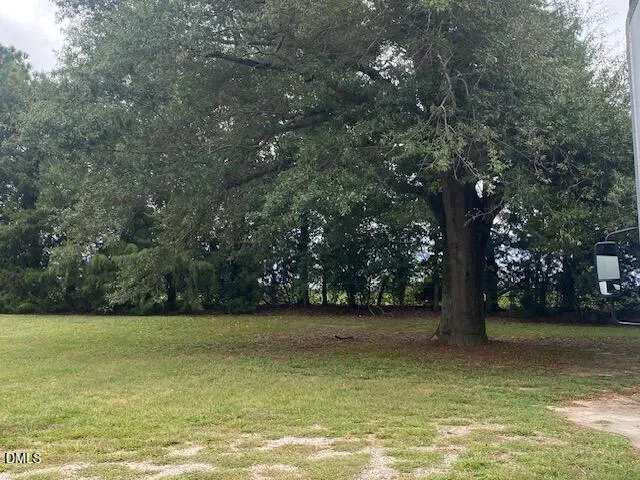 a view of outdoor space with yard