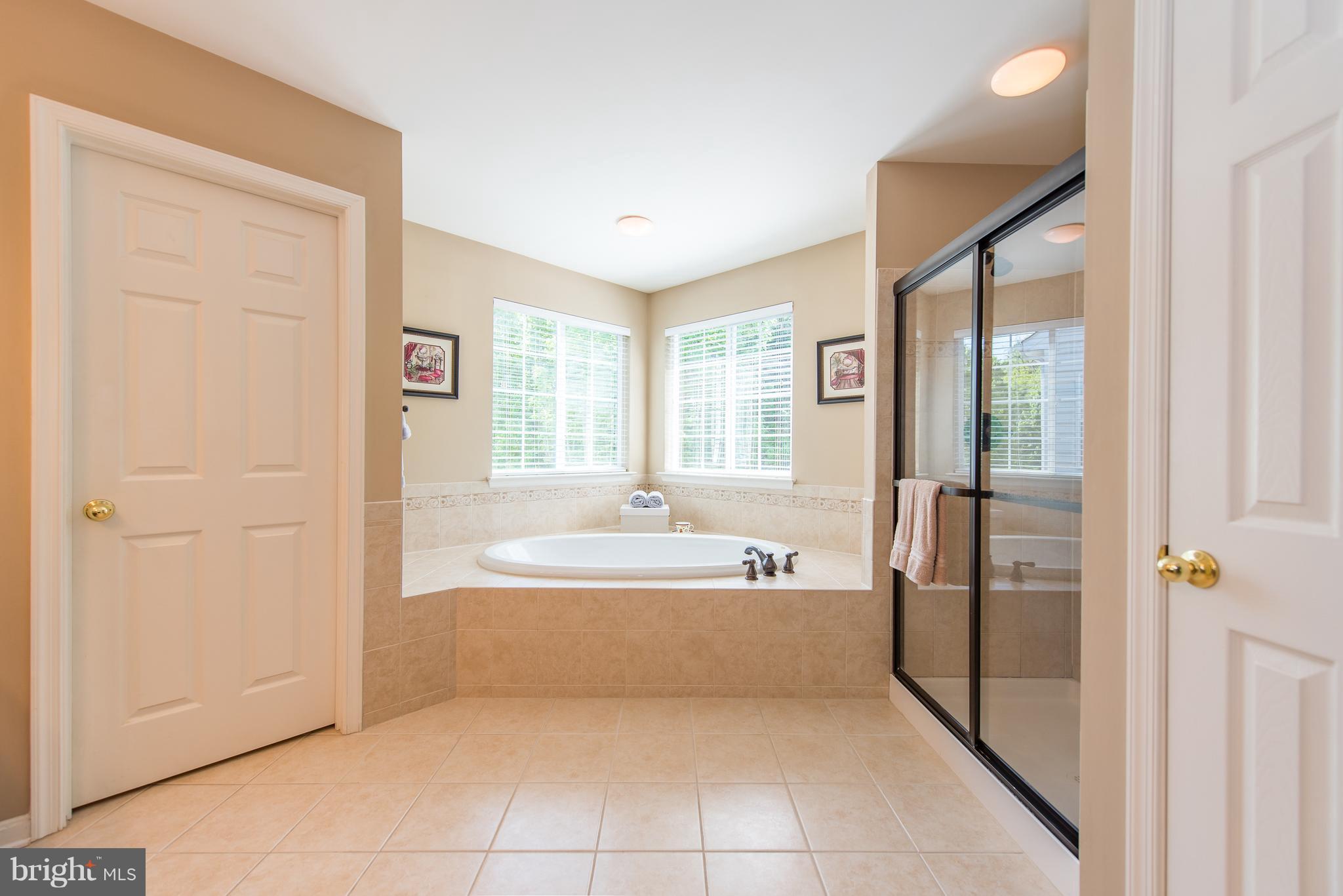 4951 Pale Morning Dun Road Elkridge, MD 21075 - Photo 19 of 30 Master Bathroom