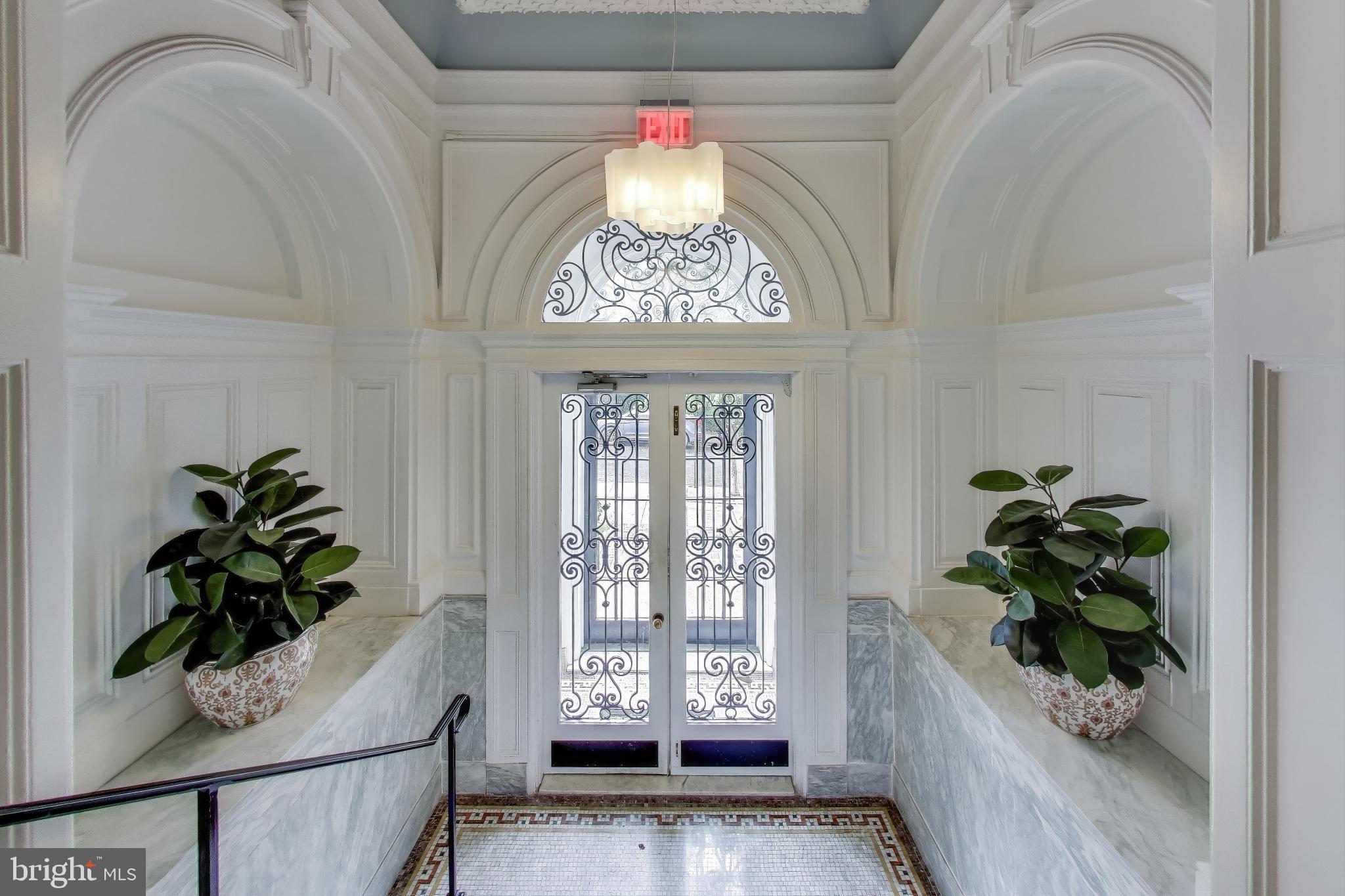 2001 19th Street Northwest, Unit 3 Washington, DC 20009 - Photo 27 of 29 a potted plant sitting in front of a window