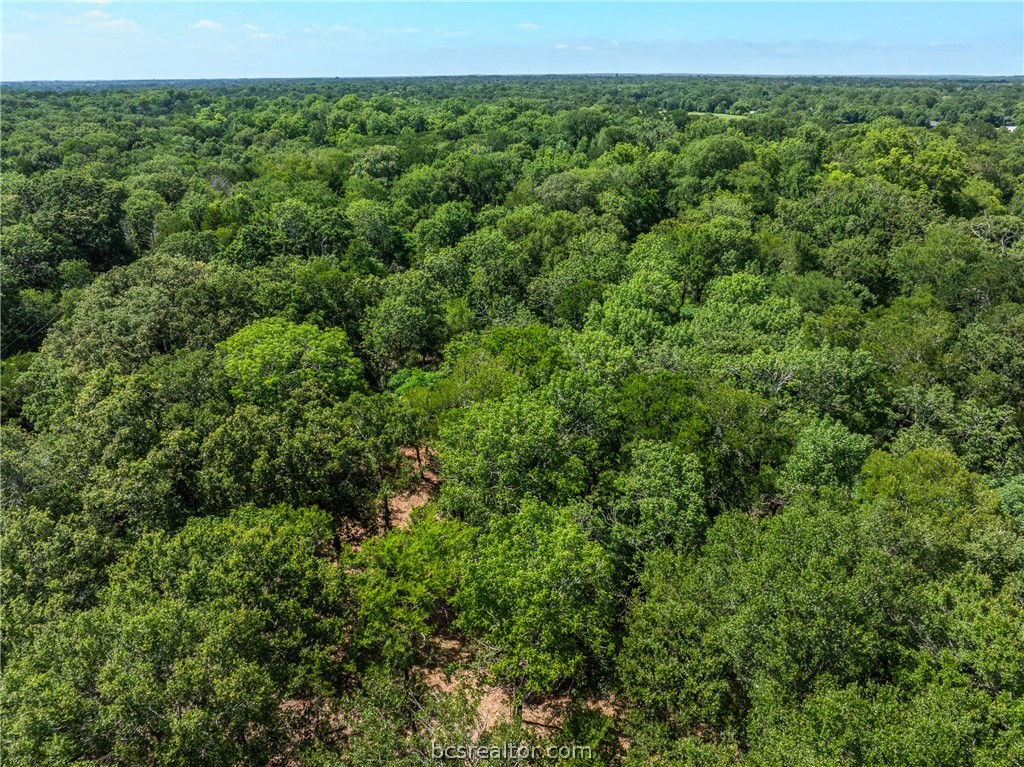 Tbd Weber Road Bryan, TX 77808 - Photo 40 of 43