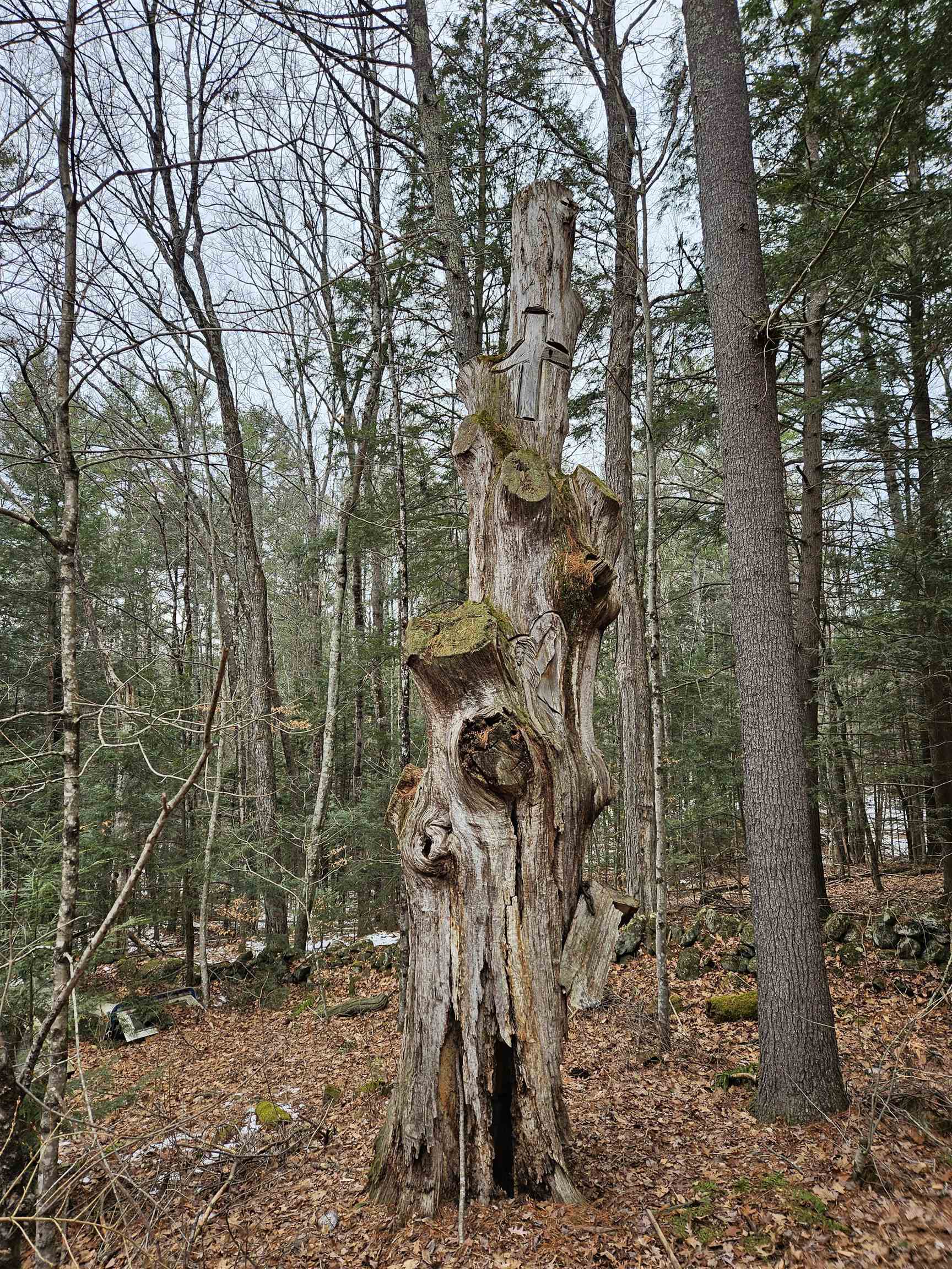 234 Old Cheshire Turnpike Walpole, NH 03608 - Photo 5 of 11