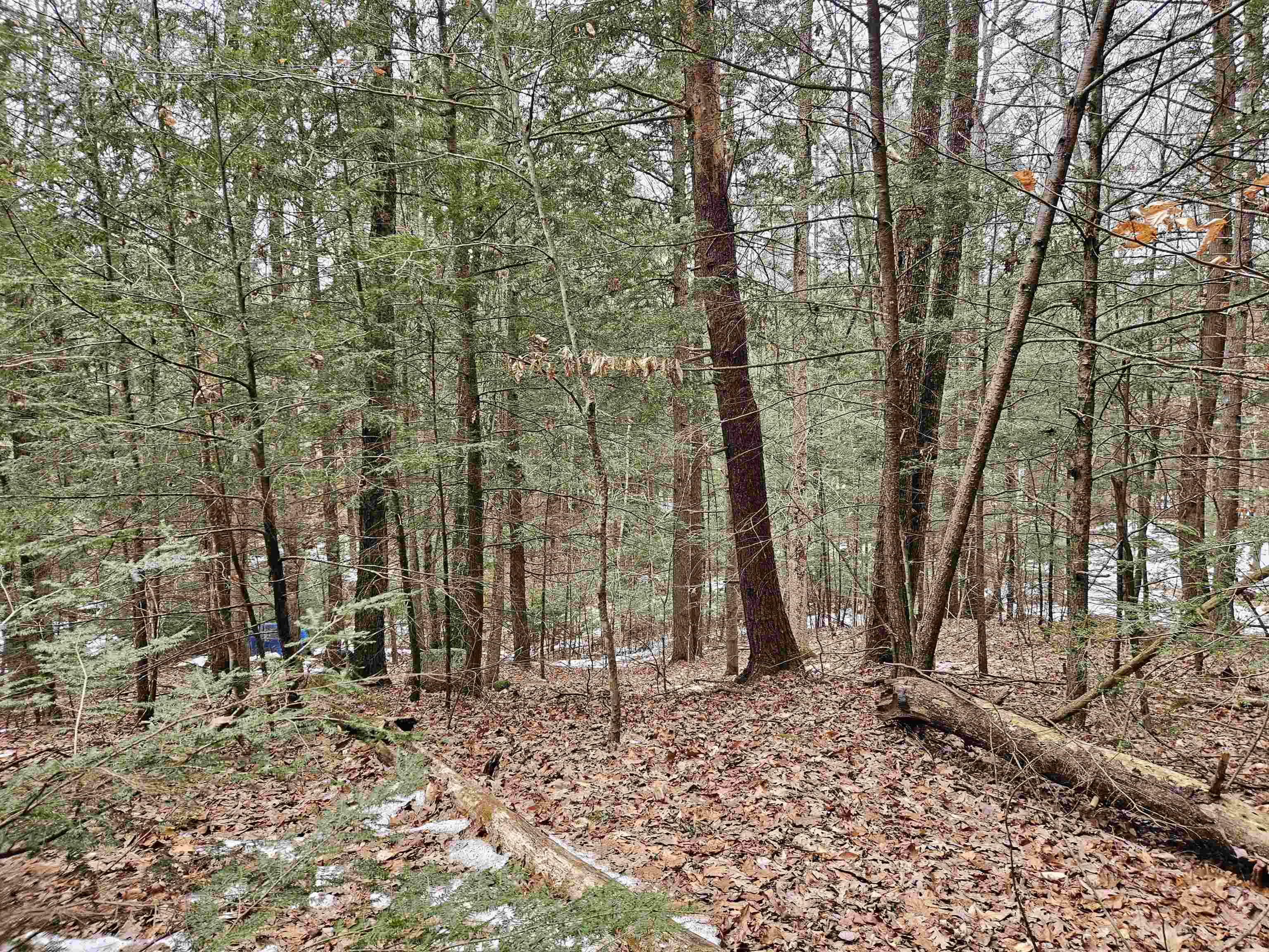 234 Old Cheshire Turnpike Walpole, NH 03608 - Photo 6 of 11