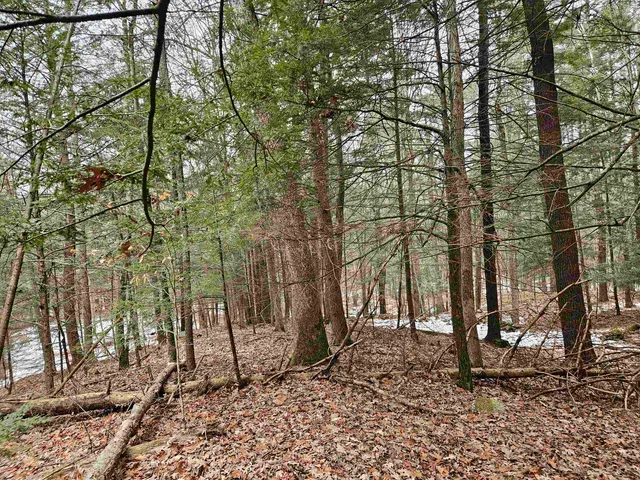 $120,000 | 234 Old Cheshire Turnpike, Walpole, NH 03608