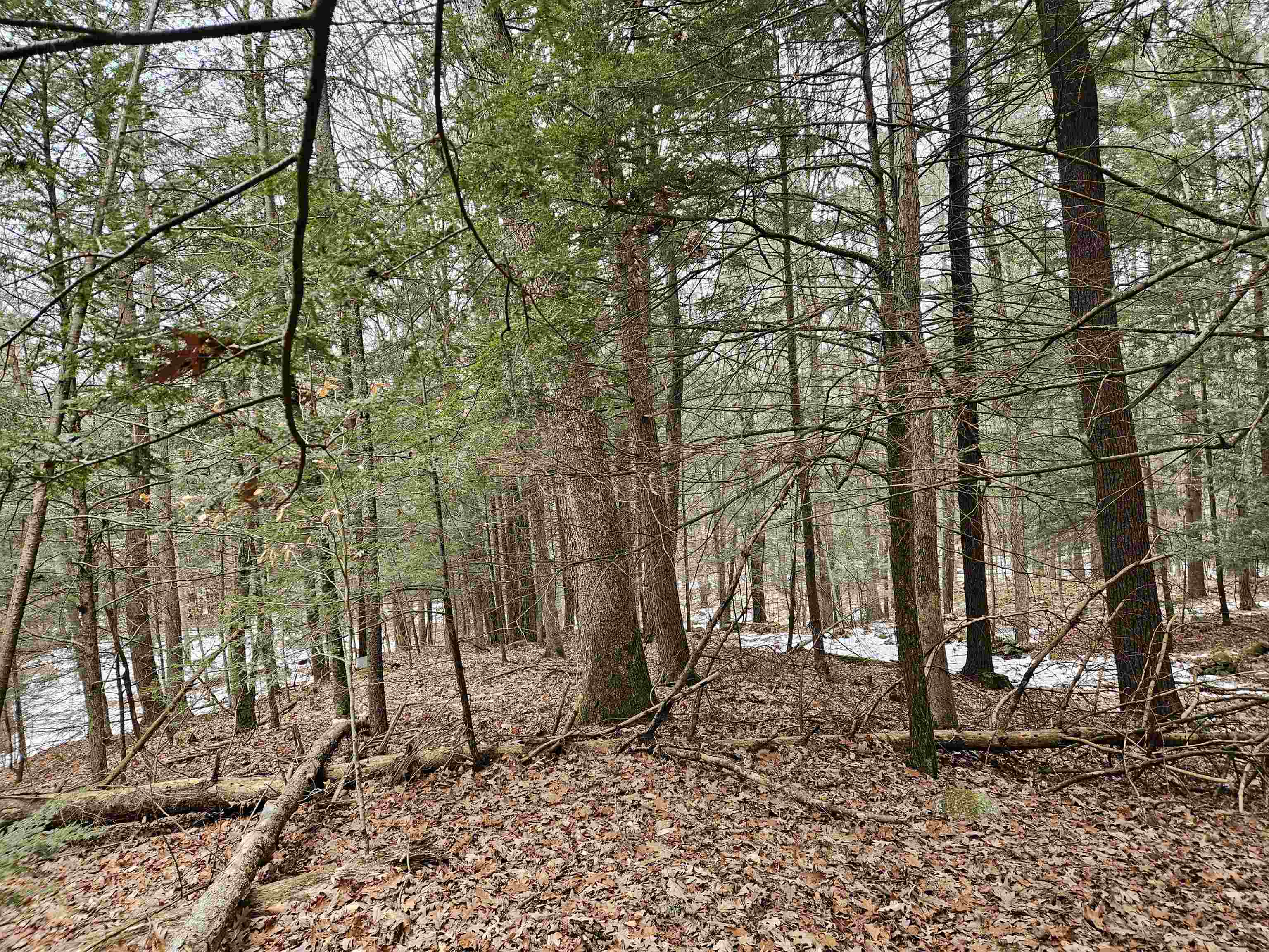 234 Old Cheshire Turnpike Walpole, NH 03608 - Photo 7 of 11