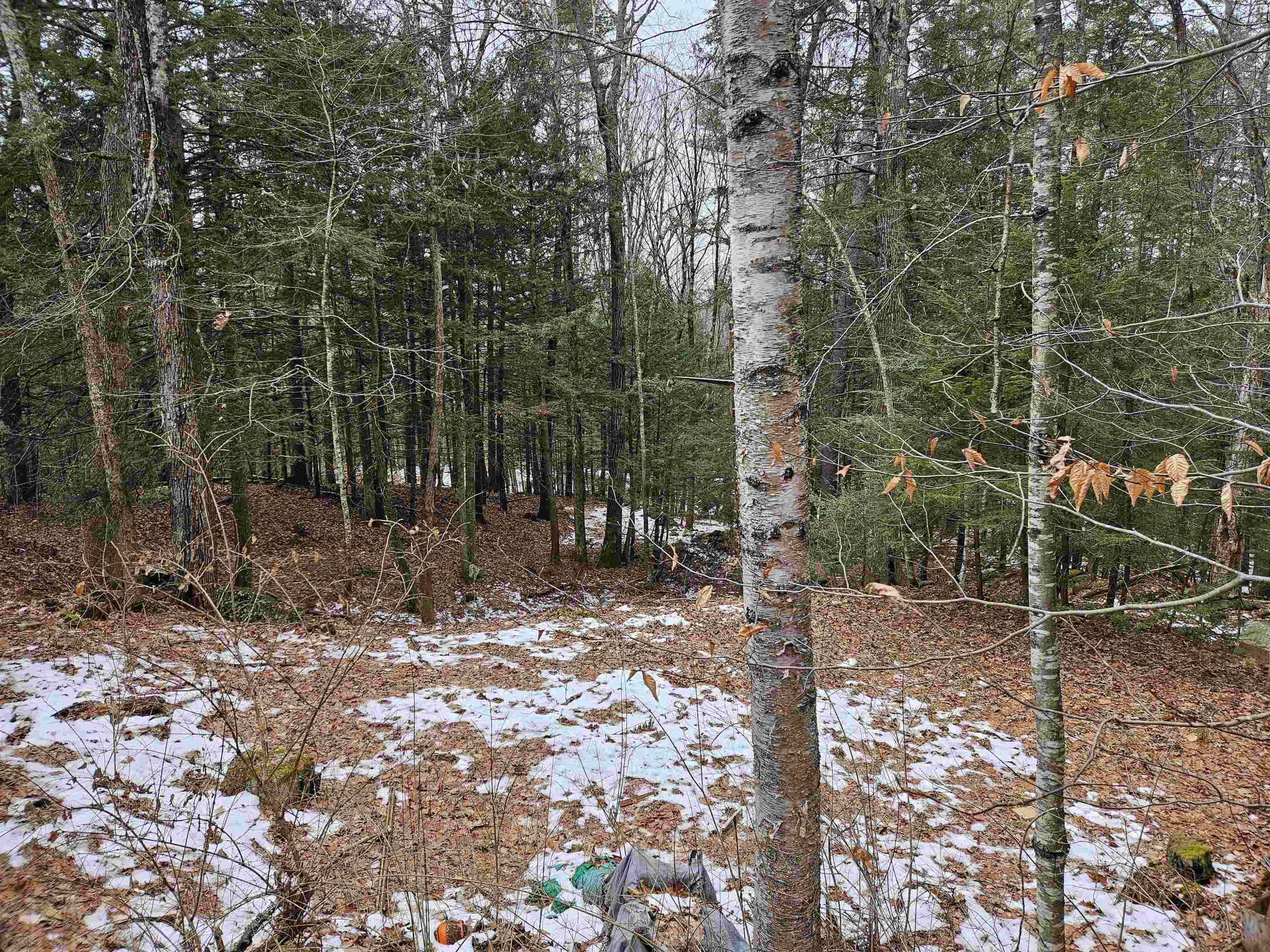 234 Old Cheshire Turnpike Walpole, NH 03608 - Photo 8 of 11