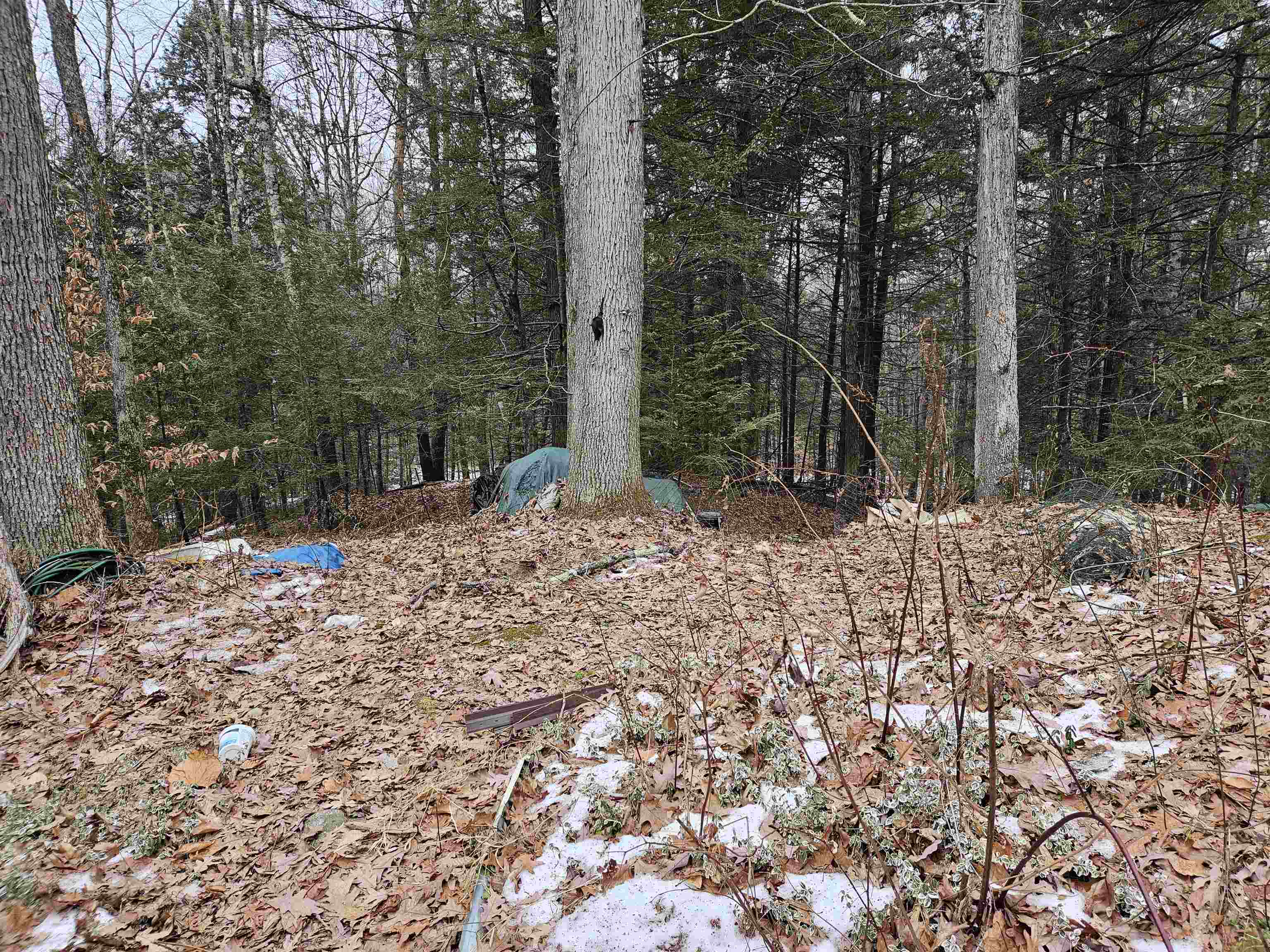 234 Old Cheshire Turnpike Walpole, NH 03608 - Photo 10 of 11