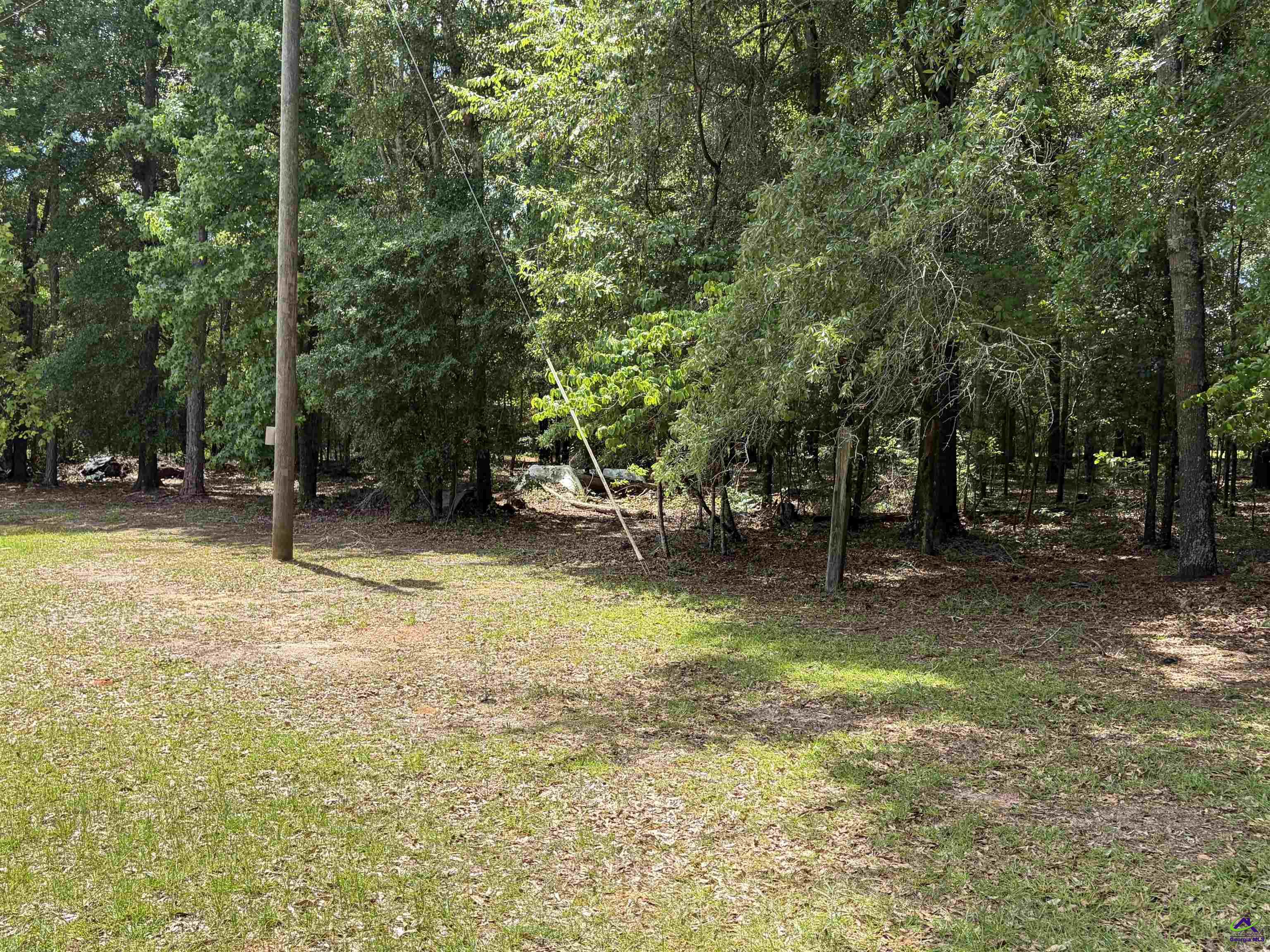 2950 Fountainville Road Andersonville, GA 31711 - Photo 11 of 19