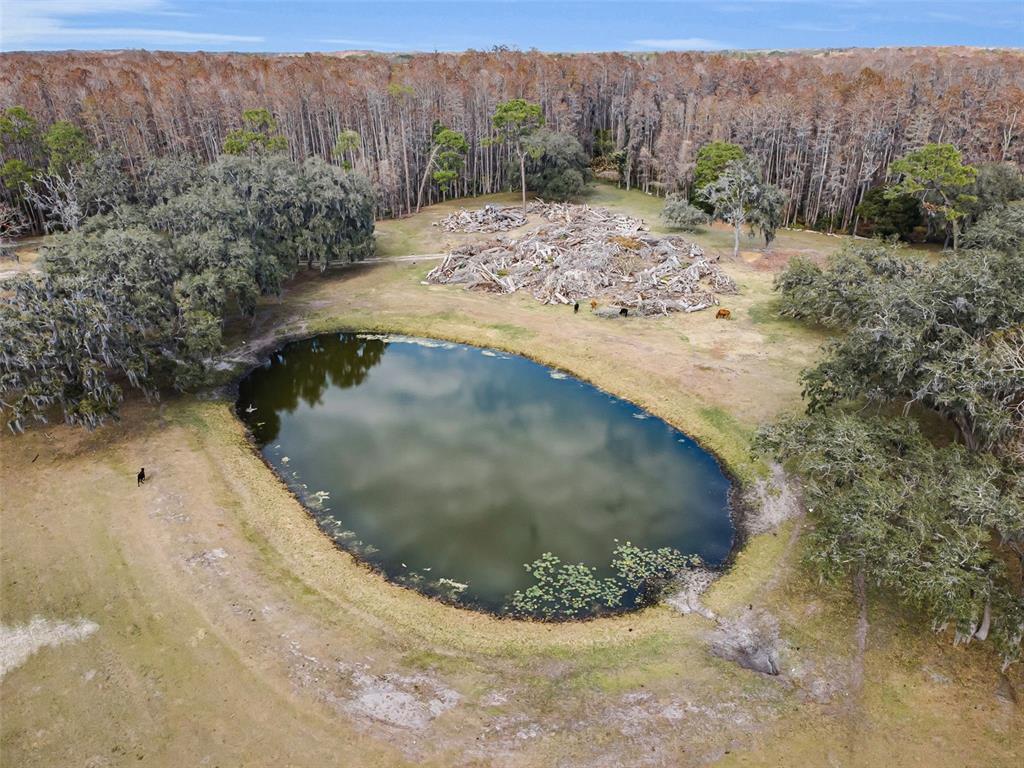 7230 Old Homestead Road New Port Richey, FL 34654 - Photo 61 of 99 Gallery Image 61