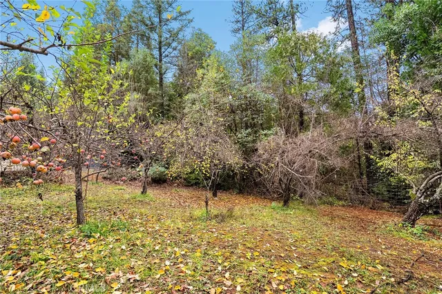 $849,900 | 18774 Challenge Cutoff Road, Forbestown, CA 95941