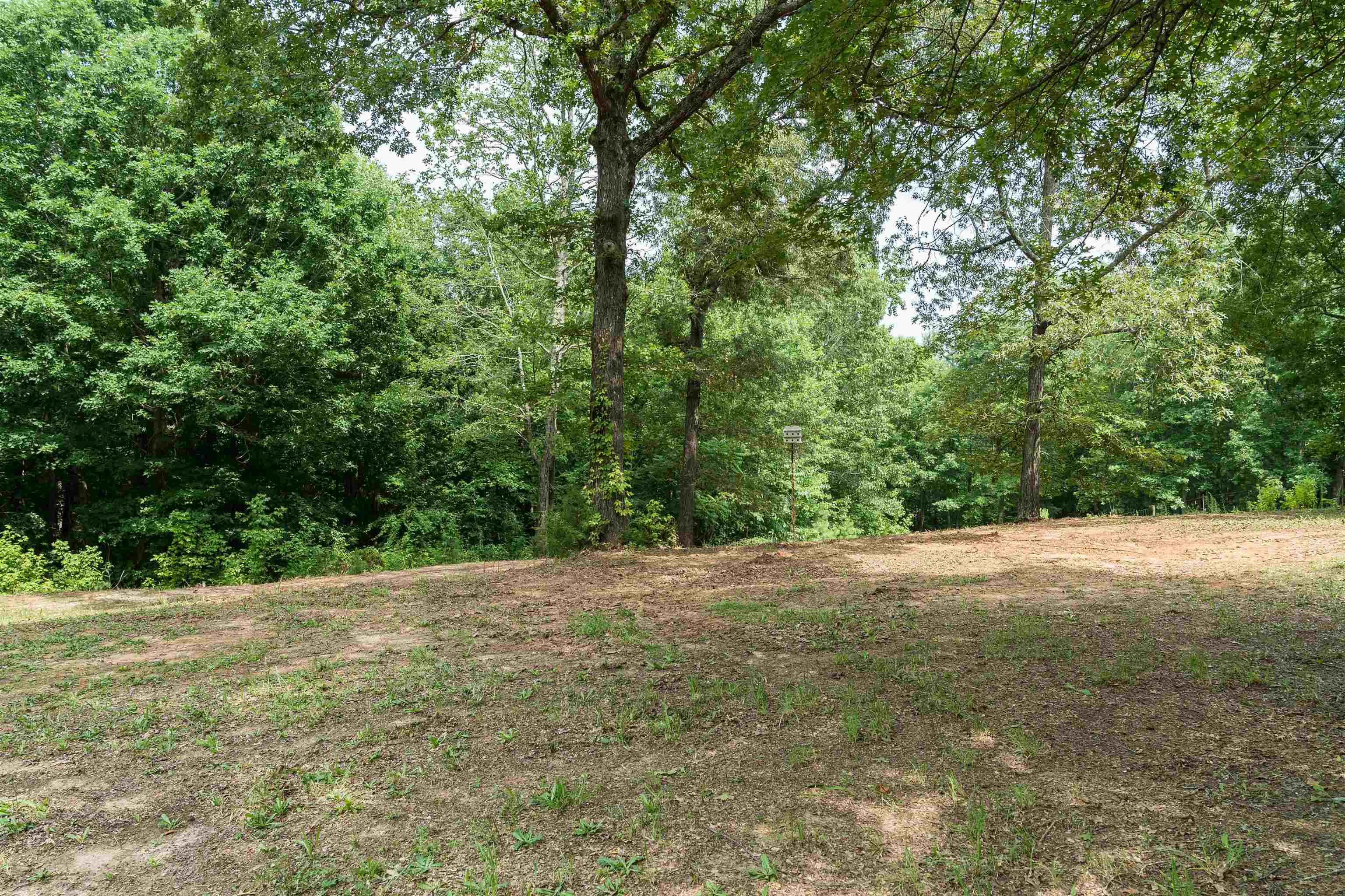 441 Jones Ford Road Union, SC 29379 - Photo 22 of 36 Gallery Image 22