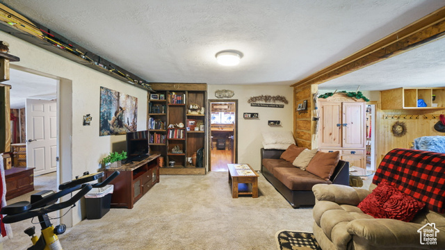 180 North State Street Sigurd, UT 84657 - Photo 22 of 32 Carpeted living room with a textured ceiling