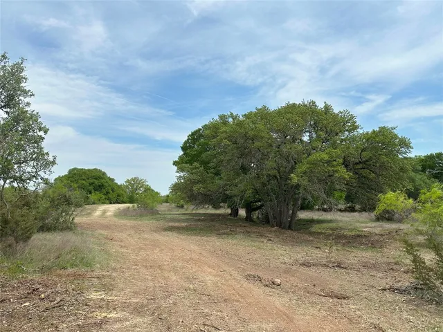 a view of a field with an trees