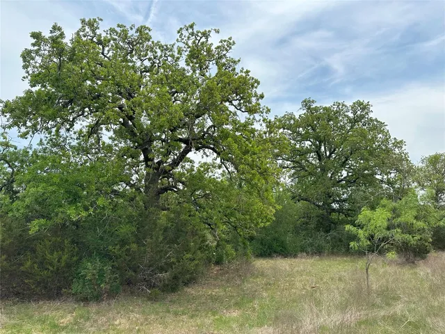 a view of a lake with a tree