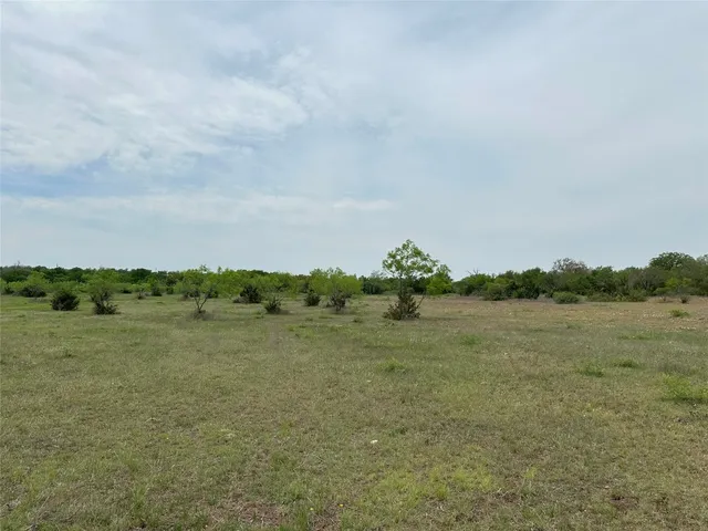 a view of a field with trees in the background