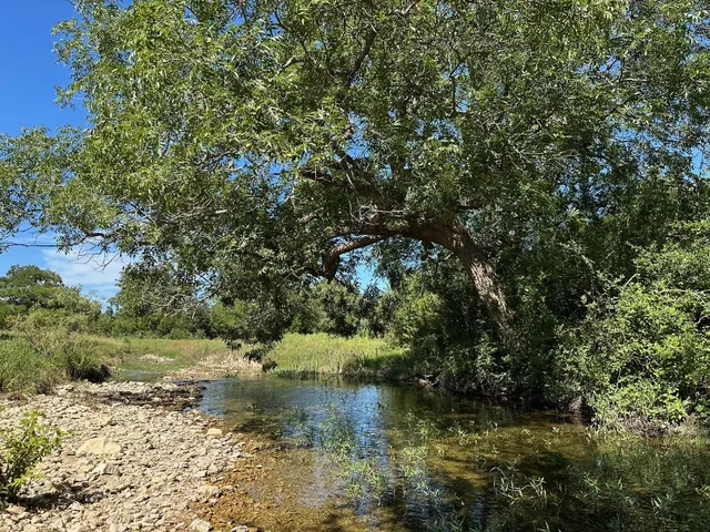 a view of a lake with large trees