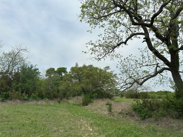a view of a tree in a yard next to a house