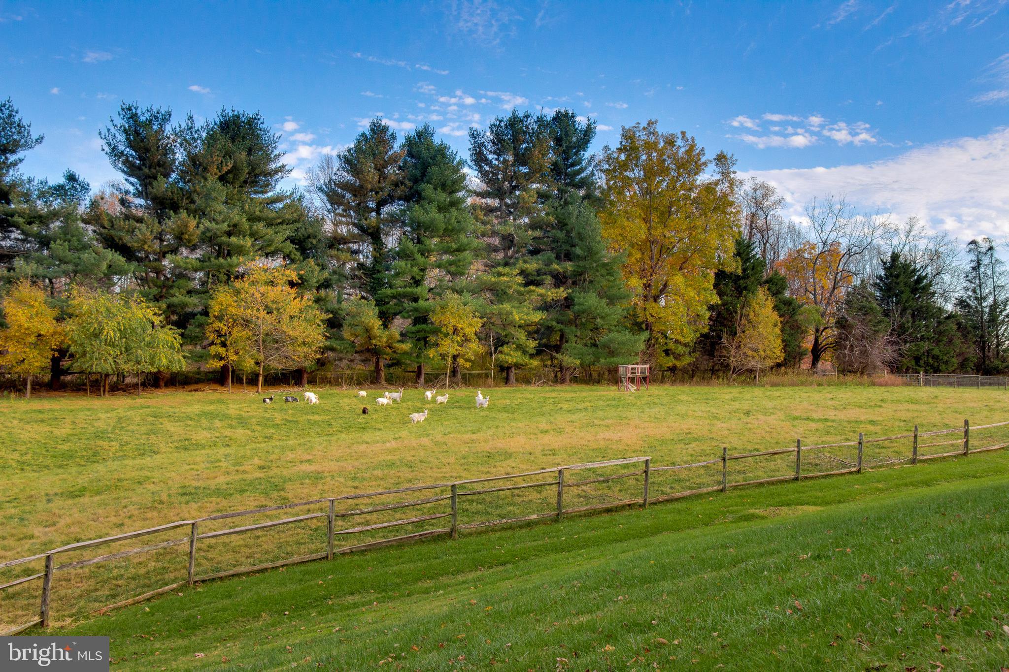 5681 Solomons Island Road Lothian, MD 20711 - Photo 54 of 71