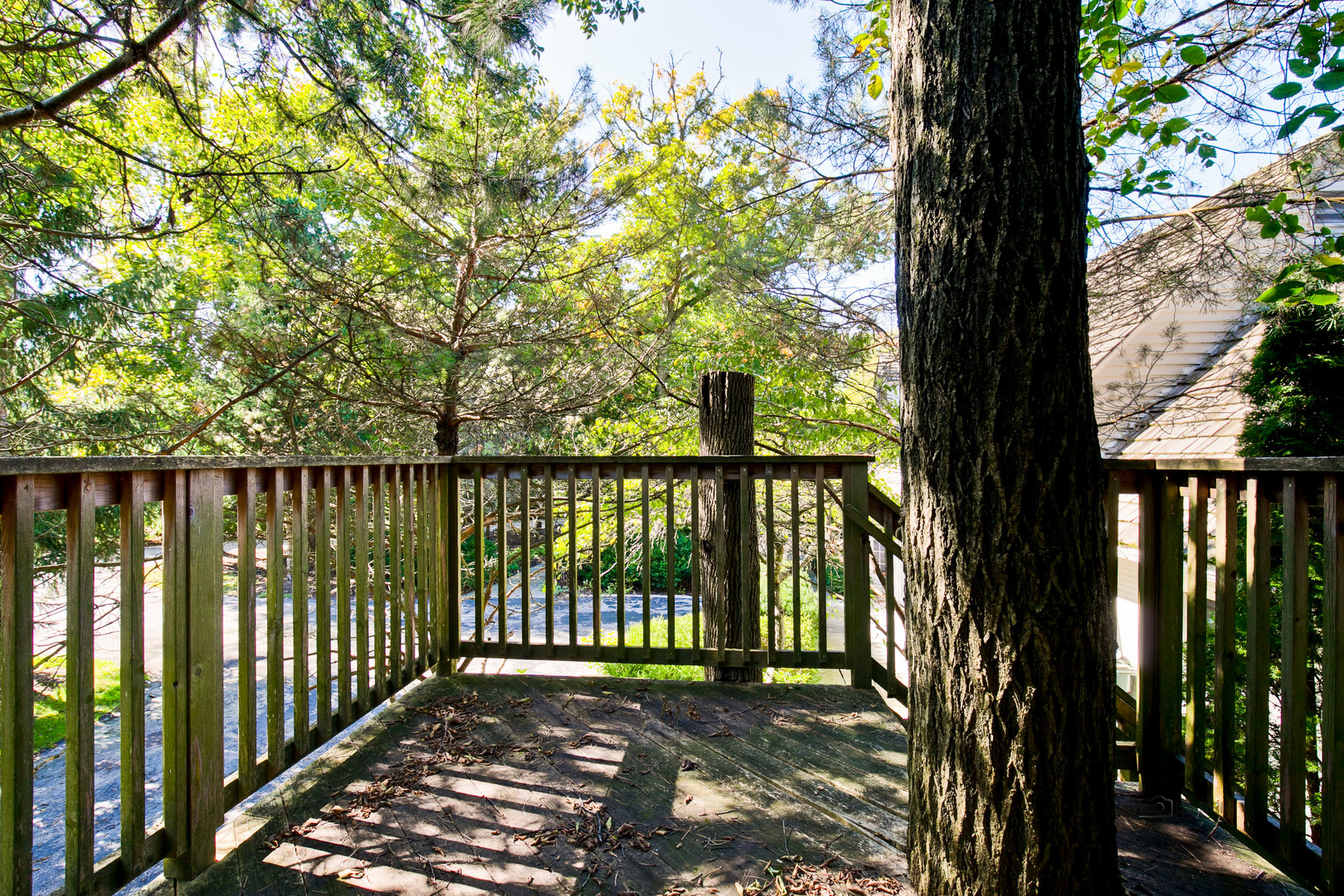 259 North Mayflower Road Lake Forest, IL 60045 - Photo 33 of 33
