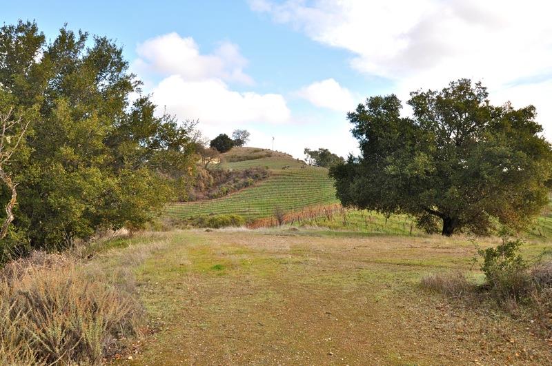 0 Mt Eden Road Saratoga, CA 95070 - Photo 7 of 27