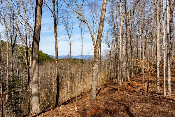 $159,000 | Lot 117 Pine Harbor Way, Salem, SC 29676