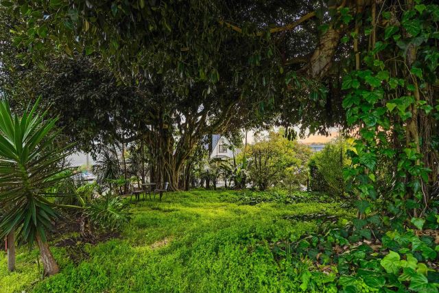 a view of a backyard with a street